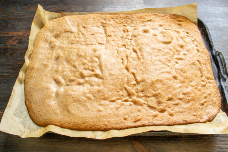 Plancha de bizcocho horneada Base de bizcocho de harina de arroz recién horneada en la bandeja